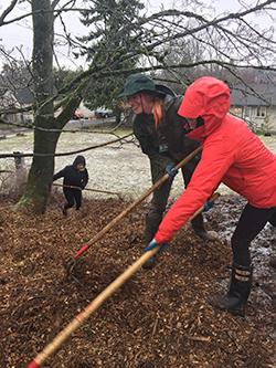 Rock Hill Park work party in February 2017